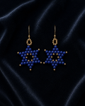 Evening Star of David Earrings